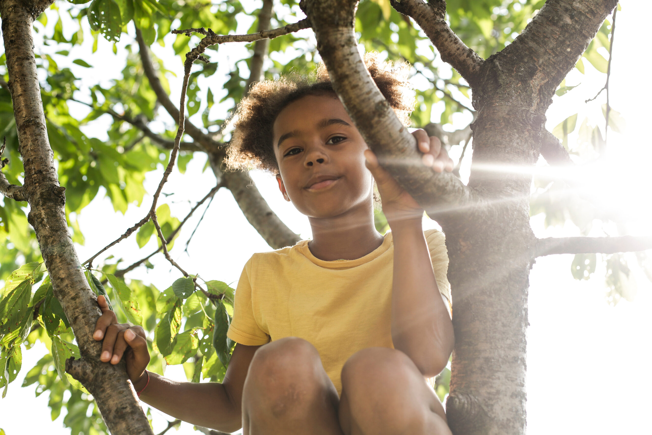 Girl in tree Girl in tree