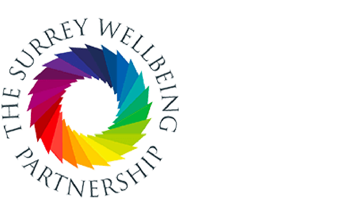 LS_Website_PartnerLogos_SurreyWellbeing_LeftAligned
